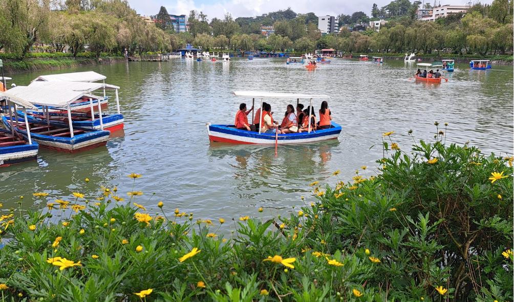 unique road trip experiences 