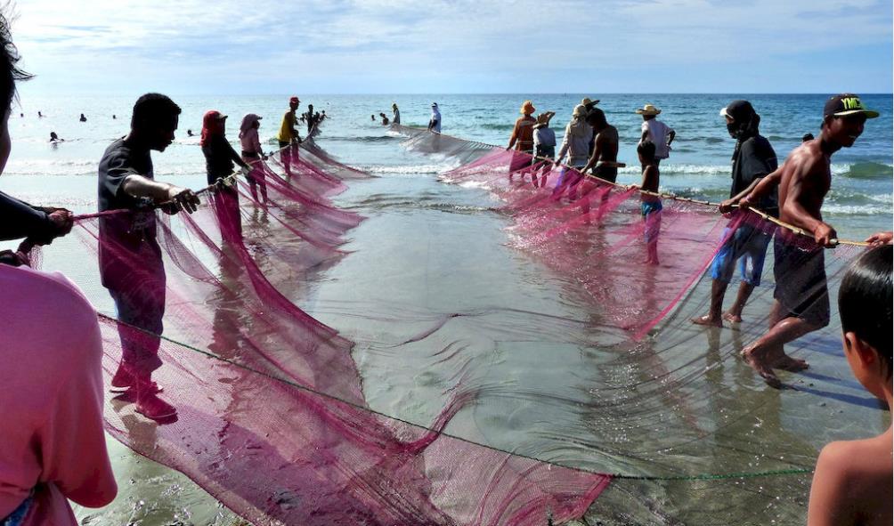 Philippine seafood supply chain 