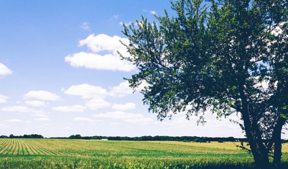 Philippines Island Wellness 