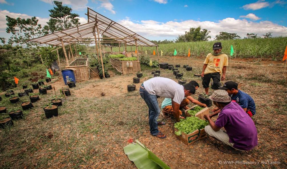 tropical health lifestyle