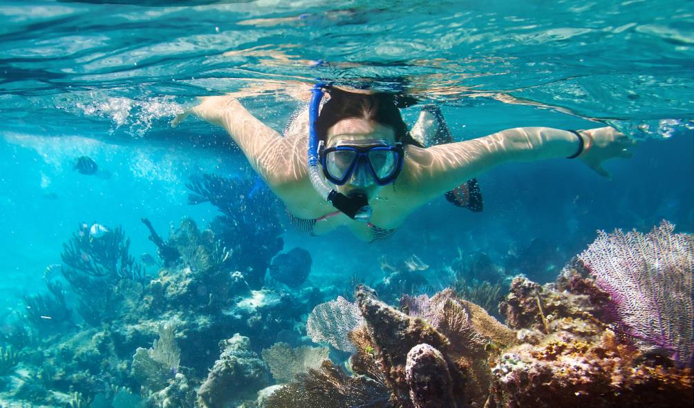 daily movement and energy 