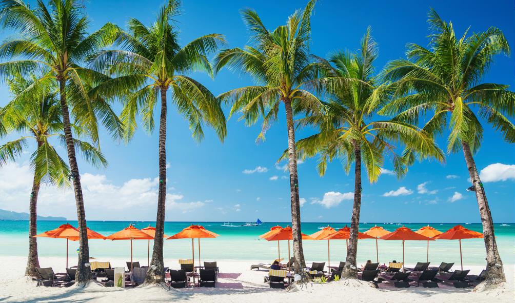 Philippines wildlife adventures 