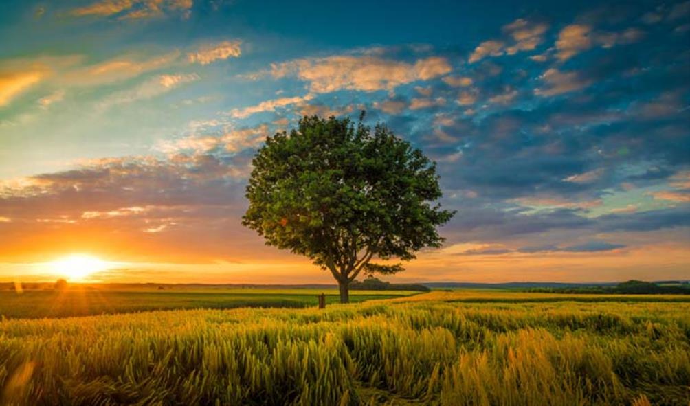living near nature health 
