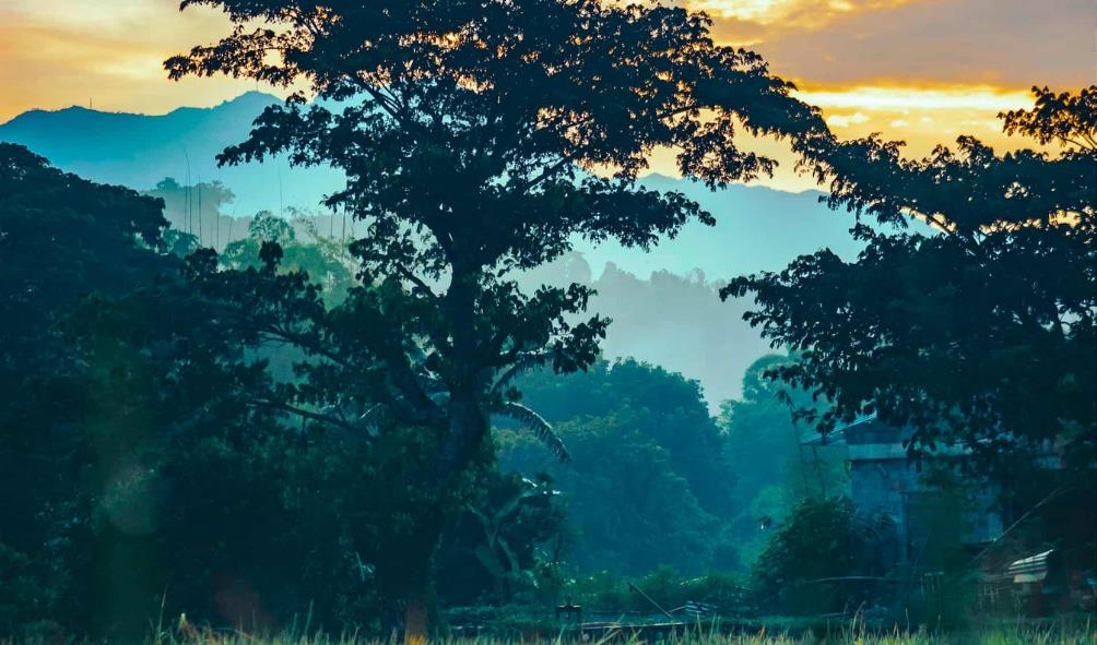 nature-based health solutions 