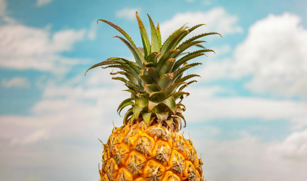 fruit-infused tropical dishes 