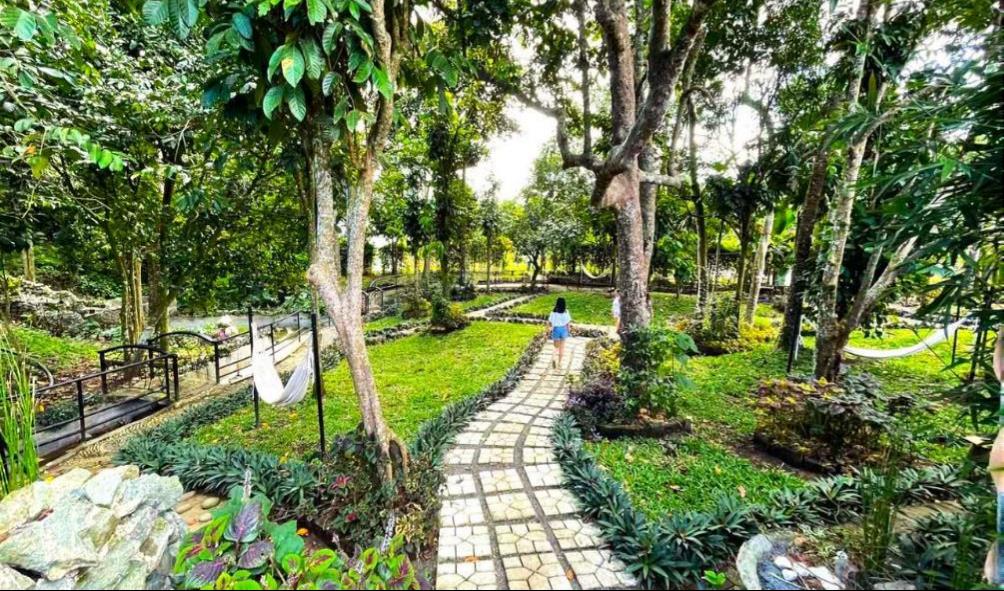 reduce stress with walking 