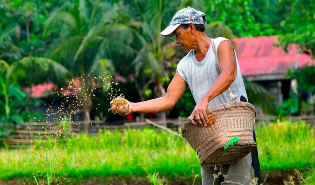 sustainable farming in the Philippines 