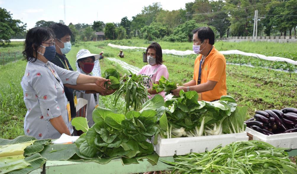 Island lifestyle health benefits 