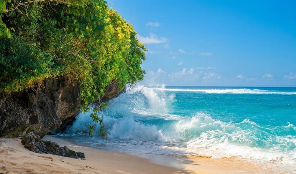 Island life holistic wellness 