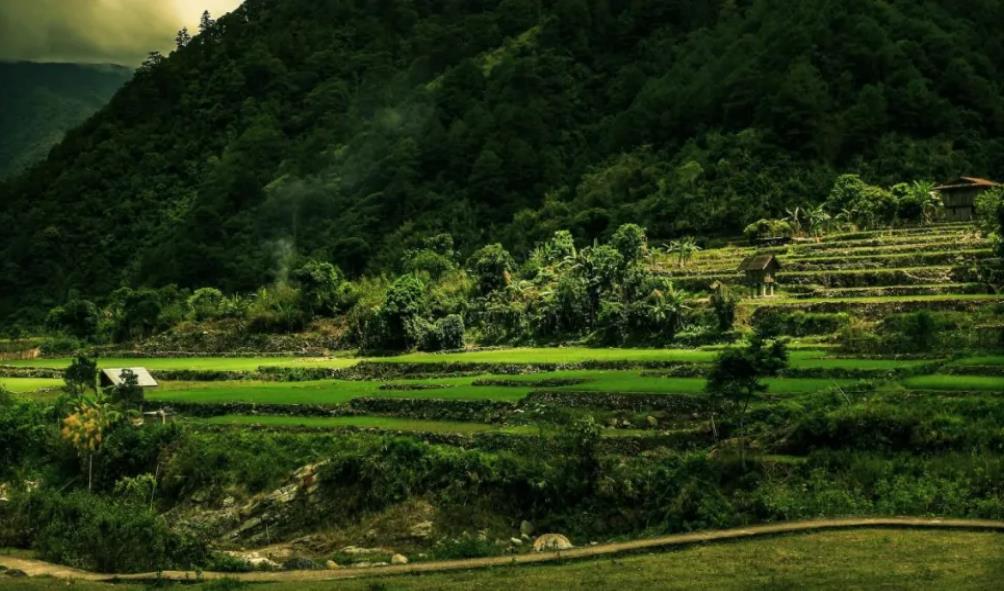 unexplored provinces 