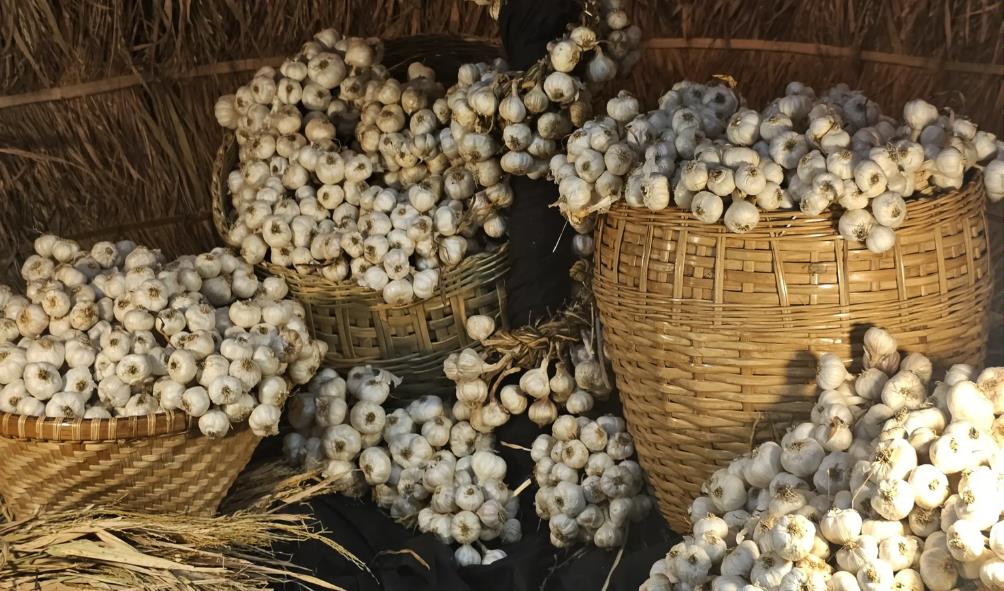 Filipino ingredient guide 
