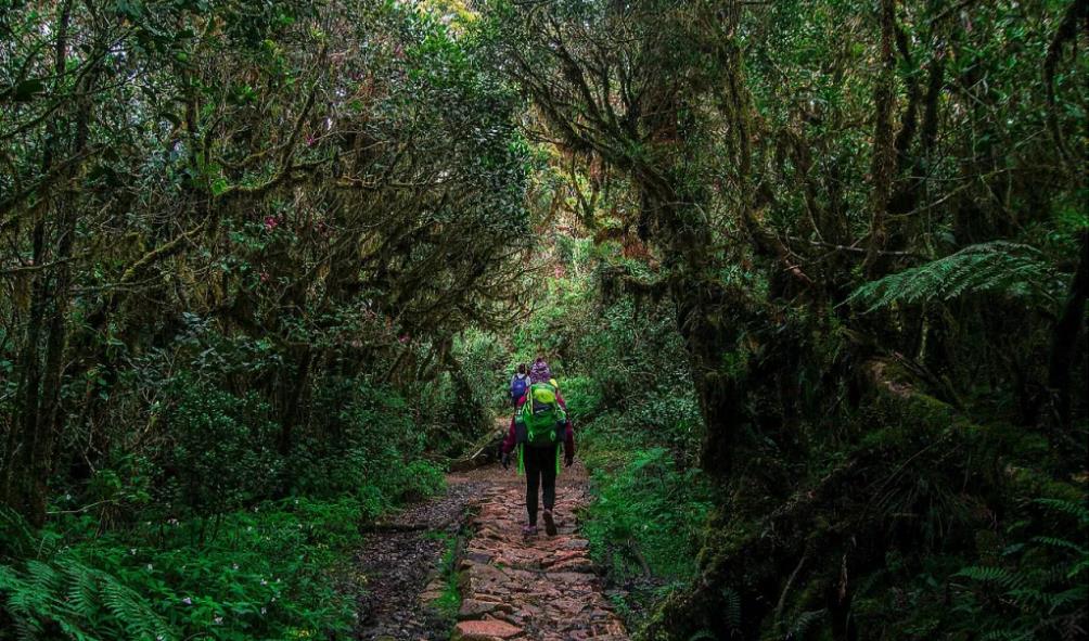 Philippines adventure trails 