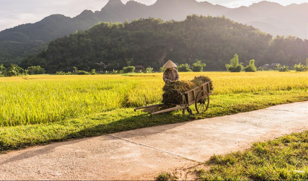 Philippines wellness travel 