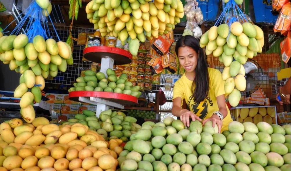 Filipino Recipe Collection 