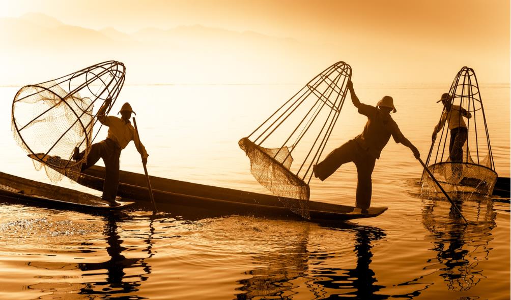 Healthy seafood options 