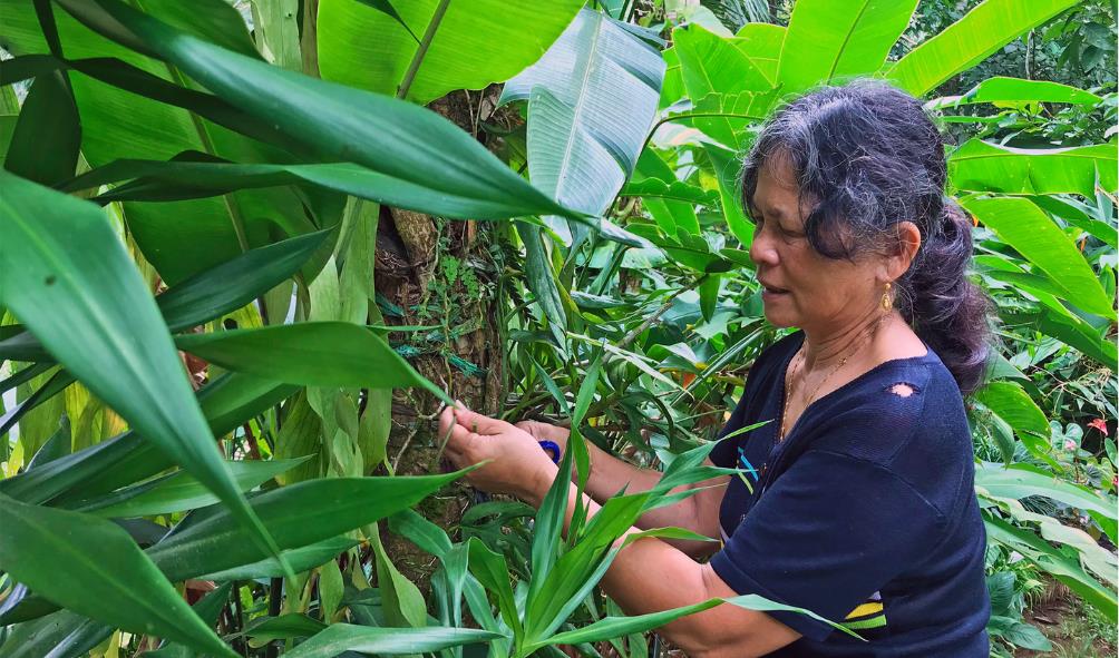 Filipino holistic wellness 