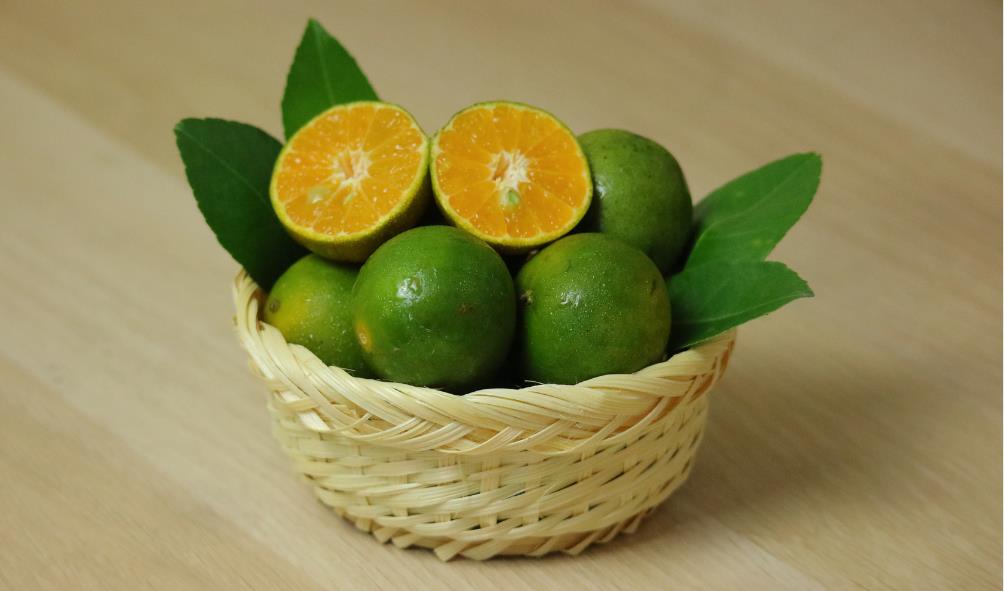 Mango desserts from the Philippines 