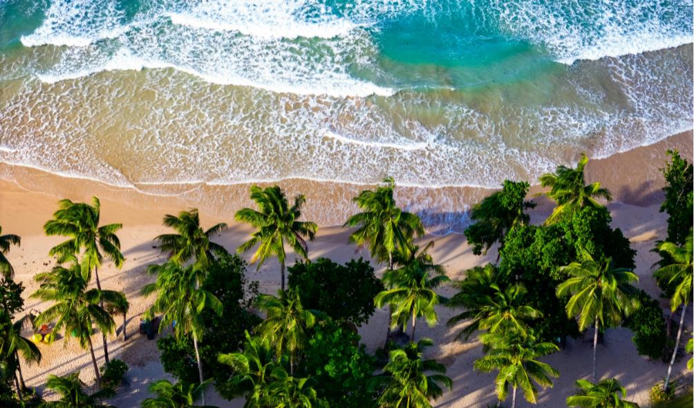 ocean''s calming effects 