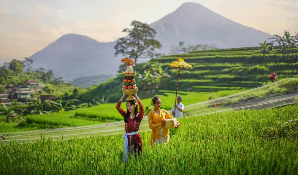 Philippines wellness retreats 