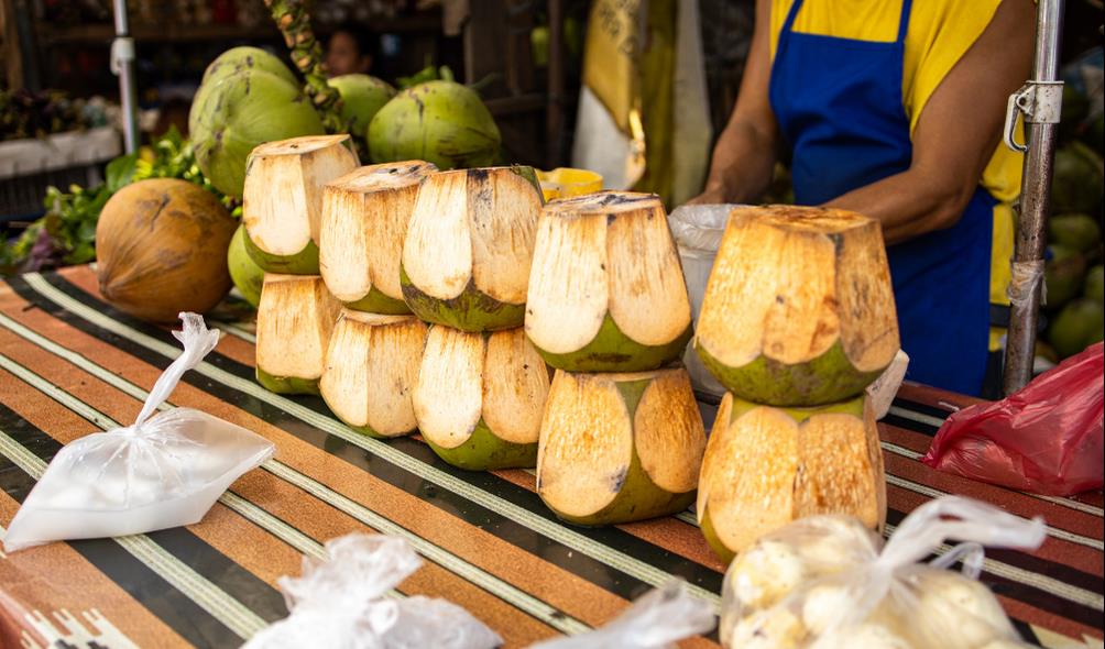 Coconut grove sustainability 