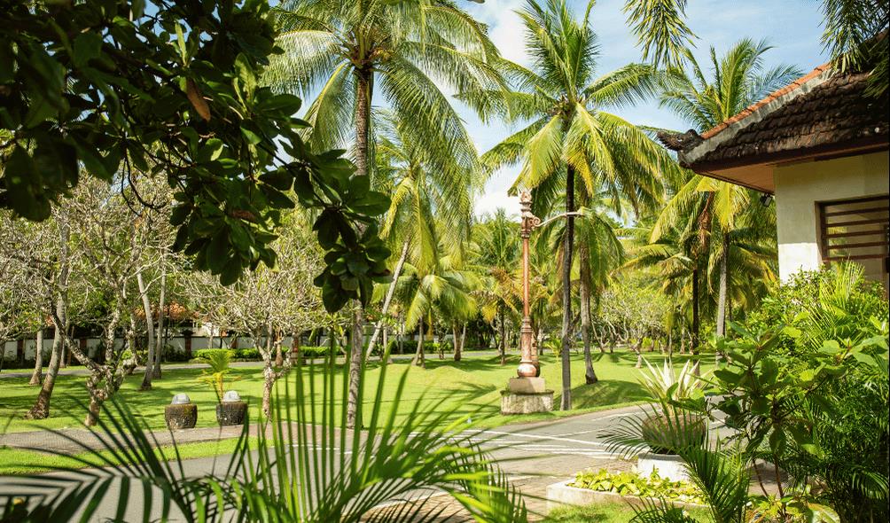 tropical living for mental health 