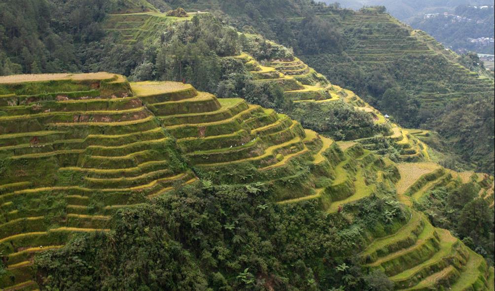 Filipino food tourism 