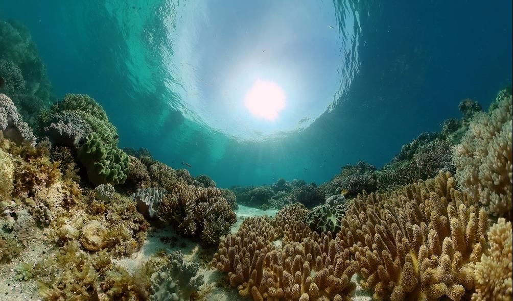 Philippine islands exploration 