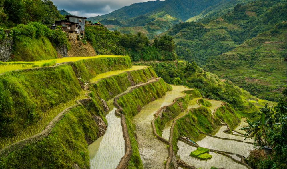 Philippine countryside living 