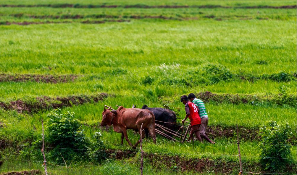 Philippine countryside living 