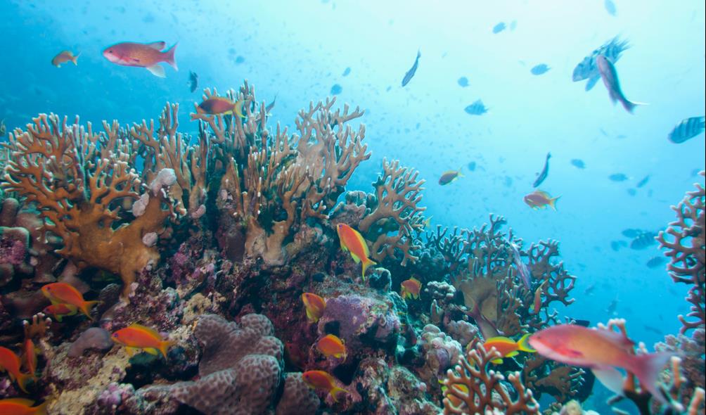 Adventure activities Philippines 
