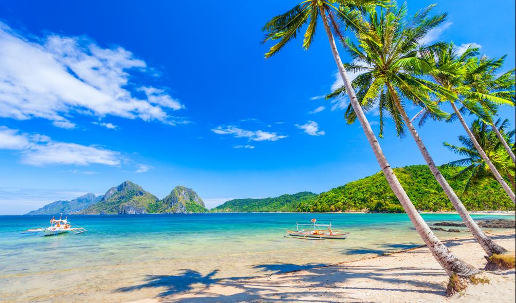 tropical wellness journeys 