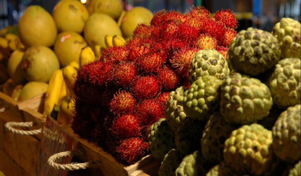 Tropical fruit meal creativity 