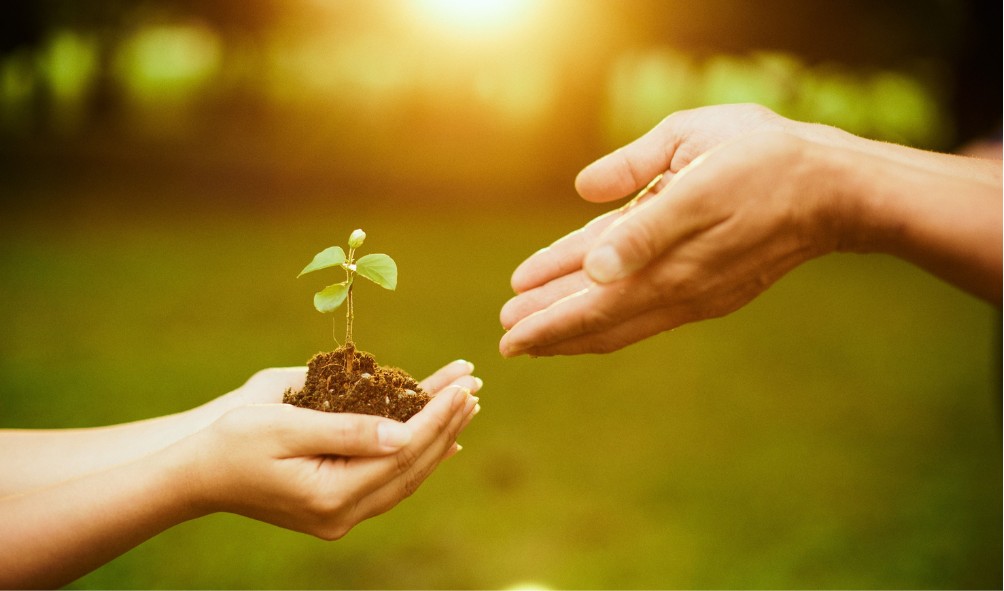 living naturally for better health 