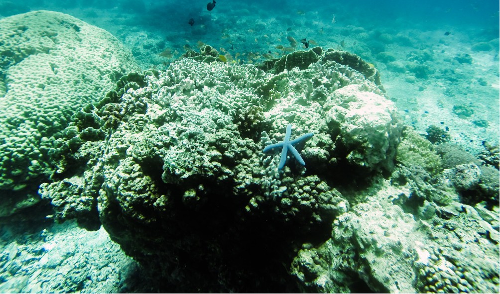 Philippine Islands Energy Renewal 